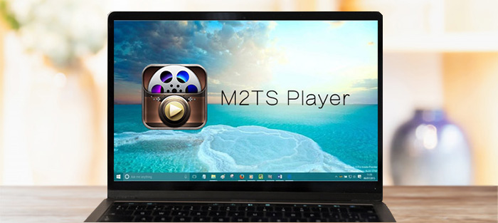 Play M2TS/MTS File