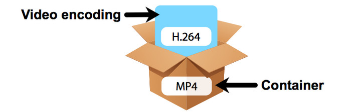 mp4-vs-h-264-differences-between-mp4-and-h-264