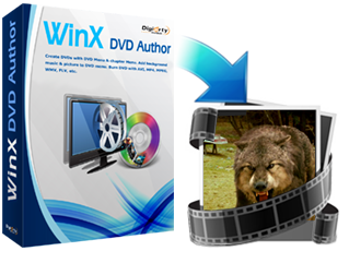 manual winx dvd author