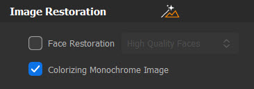 colorize photo check box