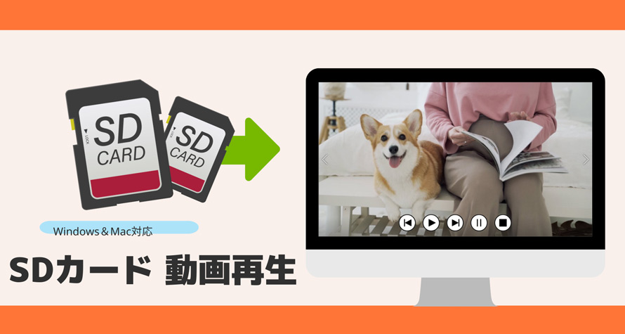 2023】SDカードの動画を再生する方法と再生できない対処法は？動画の