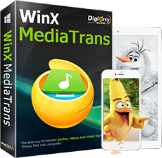 winx mediatrans