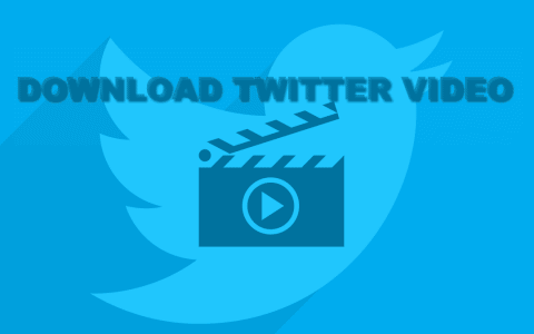 download twitter video app to in instagram