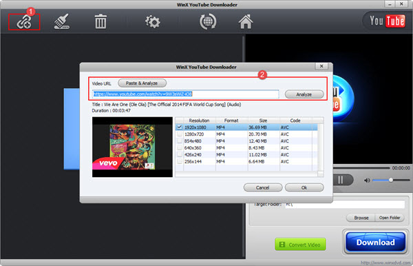 free download youtube video downloader for windows xp