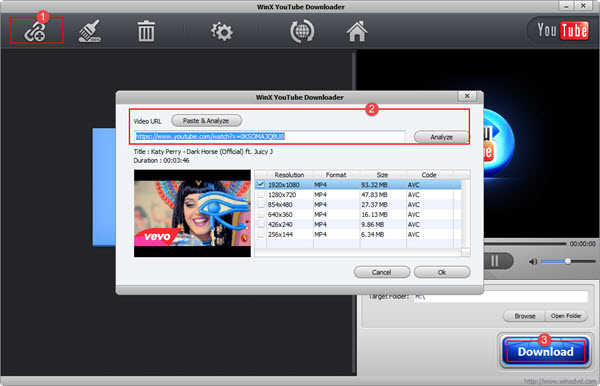 download a youtube video pc