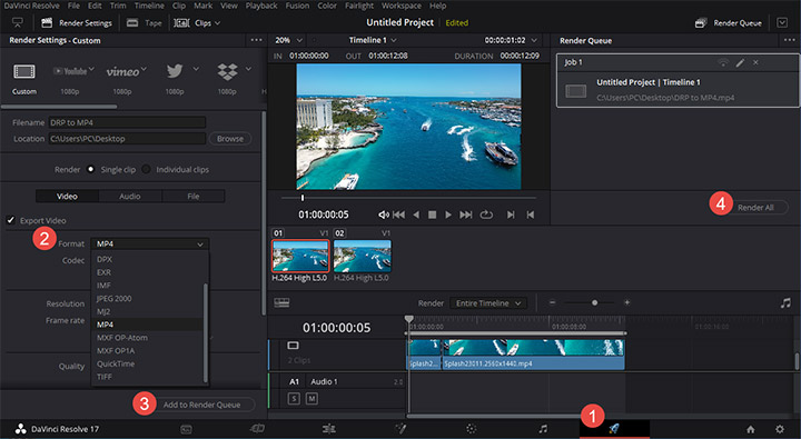 davinci resolve not exporting video