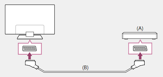 Solved DVD Not Playing Full Screen