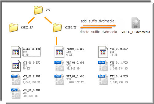 .dvdmedia and VIDEO_TS folder