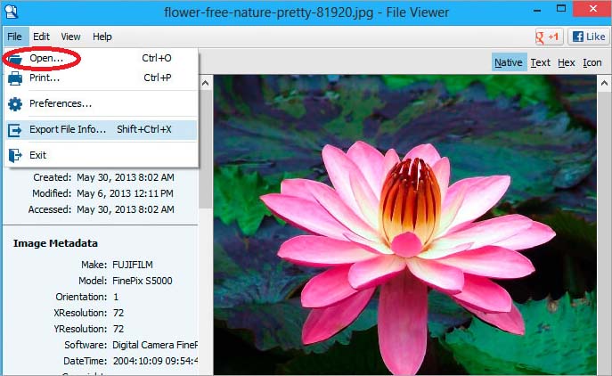 image viewer heic