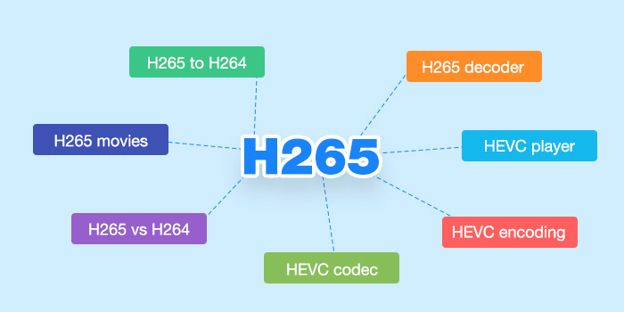 h265 converter