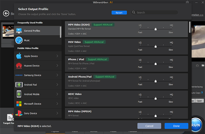 choose output video format