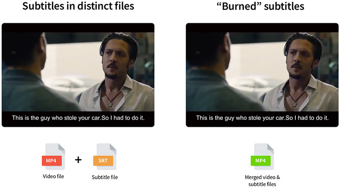 SDH vs. non-SDH Subtitles: When to Use Them