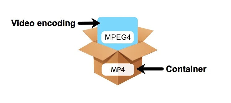 MPEG4 vs MP4: Is MPEG4 the Same as MP4? Any Differences?